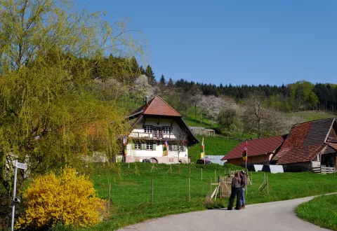 HappyFarm - eine buddhistische Gemeinschaft