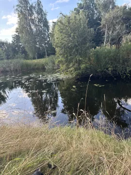 Wurzeln schlagen am MEER / Selbstversorgen und mit der Erde verbinden