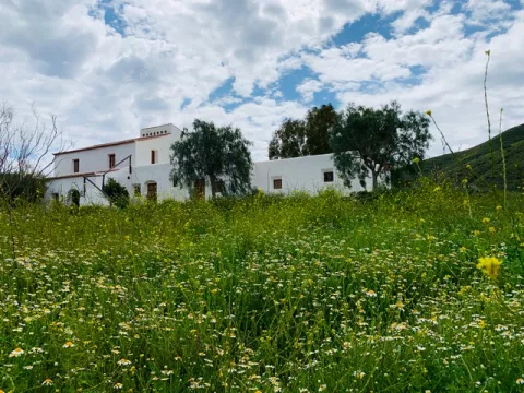 Cortijo Saltador