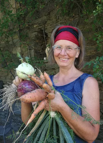 Möhren, Zwiebeln, Kohlrabi