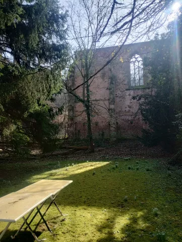 Die Klosterruine vom Garten aus