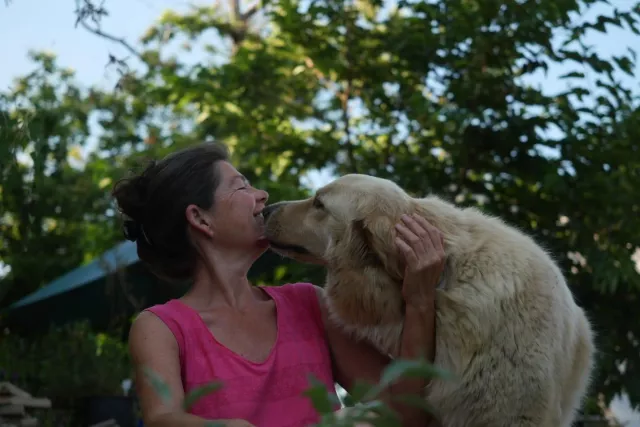 Größer Liebesbeweis in der Hundespracje